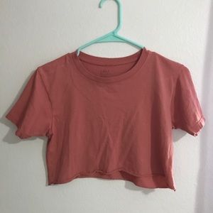 John galt/brandy Melville crop top